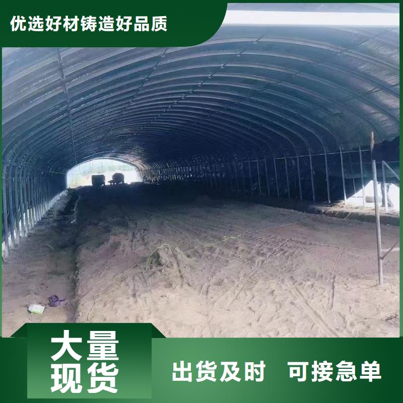 温室大棚蘑菇棚质量为本