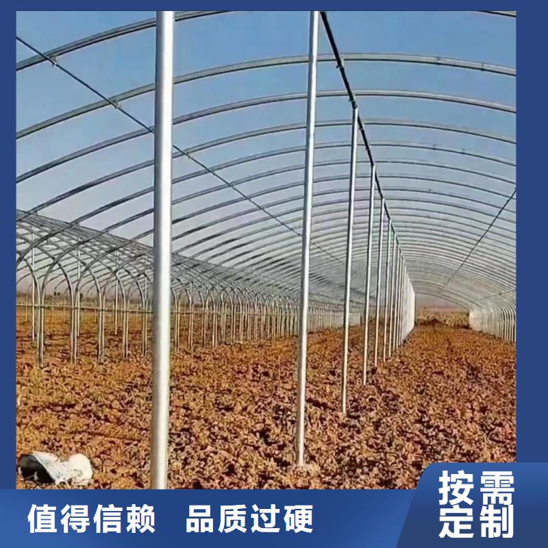 乐东县育苗大棚喷塑生产