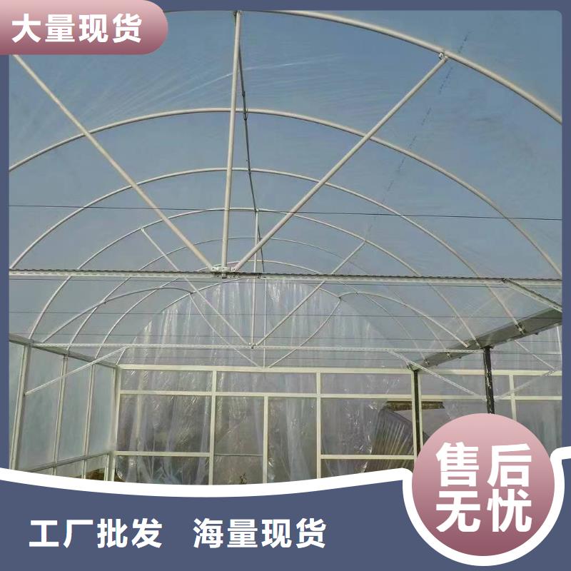花卉大棚西瓜生产
