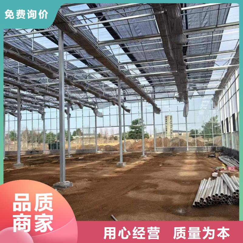 【温室大棚蘑菇棚精致工艺】
