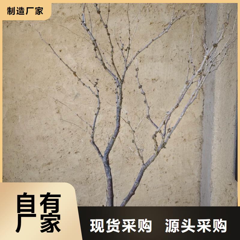 夯土稻草漆采购价格