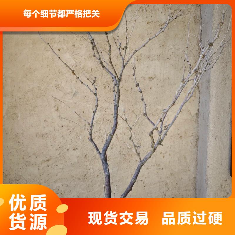 生态稻草漆厂家定制