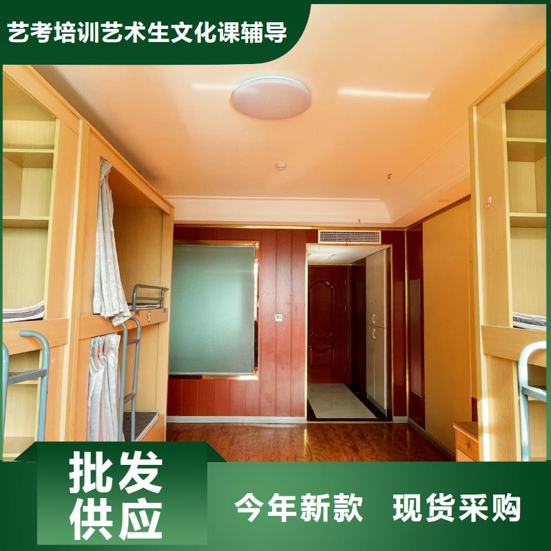 济南艺考文化课【【高考小班教学】】实操培训