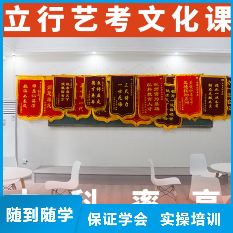 艺考文化课培训艺术生文化补习理论+实操