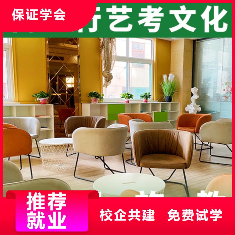 艺考文化课培训艺术生文化补习理论+实操