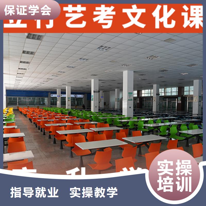 有几所学校艺术生文化课补习机构