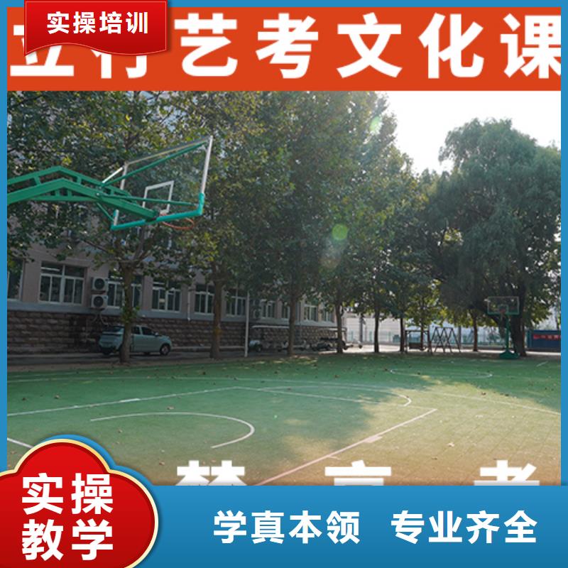 艺考生文化课高考理论+实操