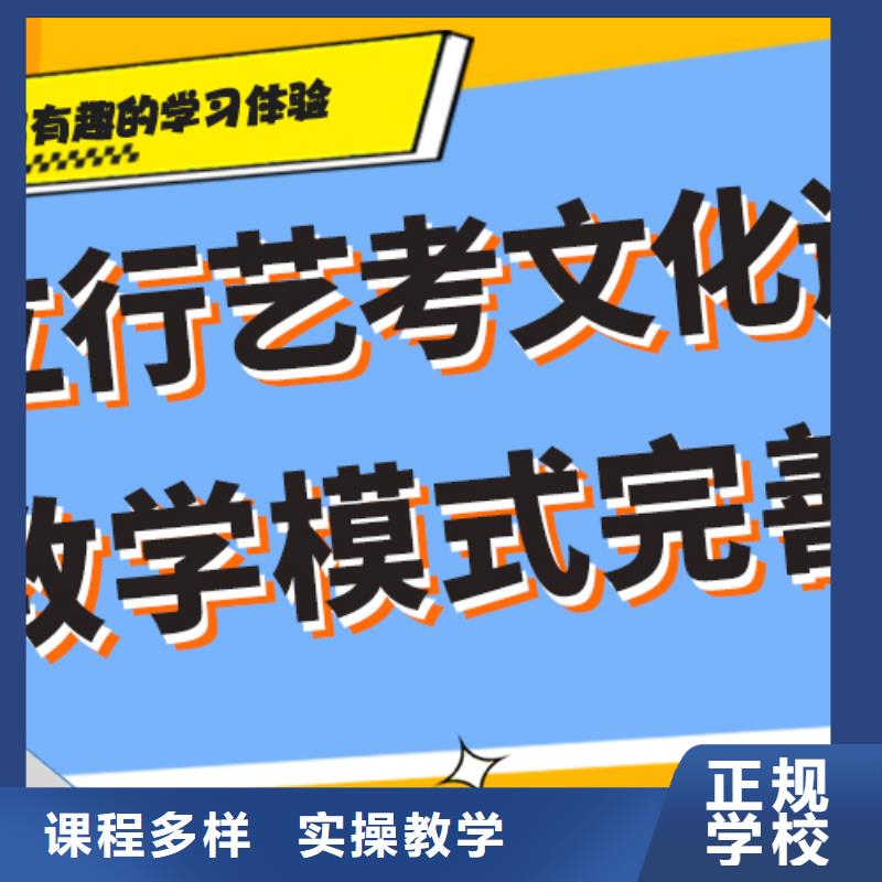 艺考生文化课艺考培训机构理论+实操