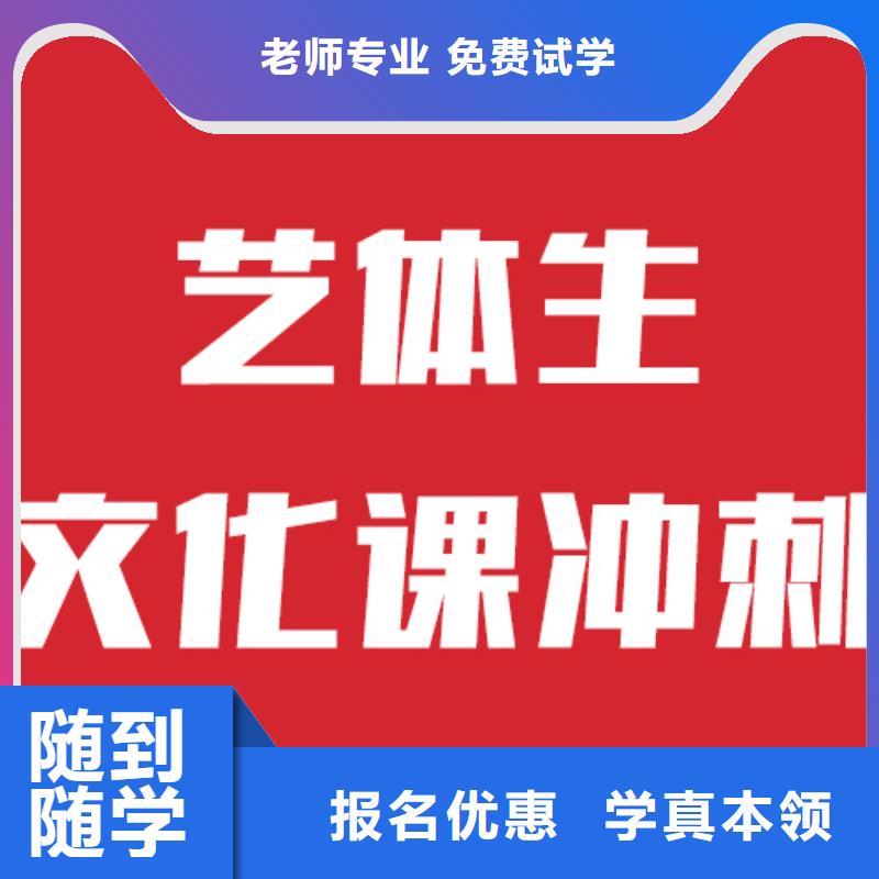 艺考生文化课【舞蹈艺考培训】学真本领