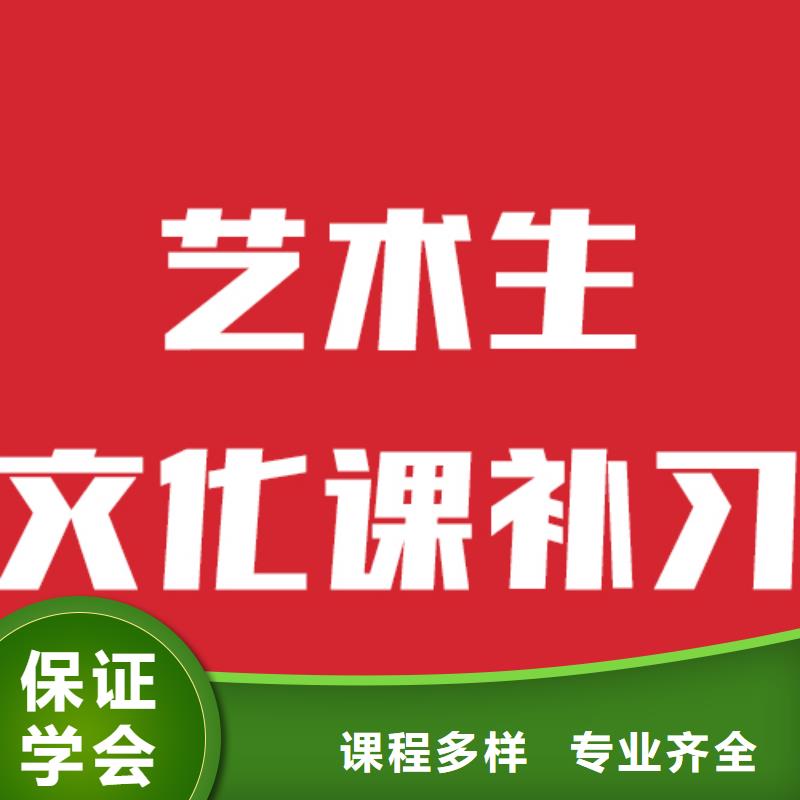 艺考生文化课艺考辅导正规学校