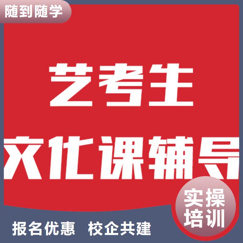 艺考生文化课艺考培训机构理论+实操