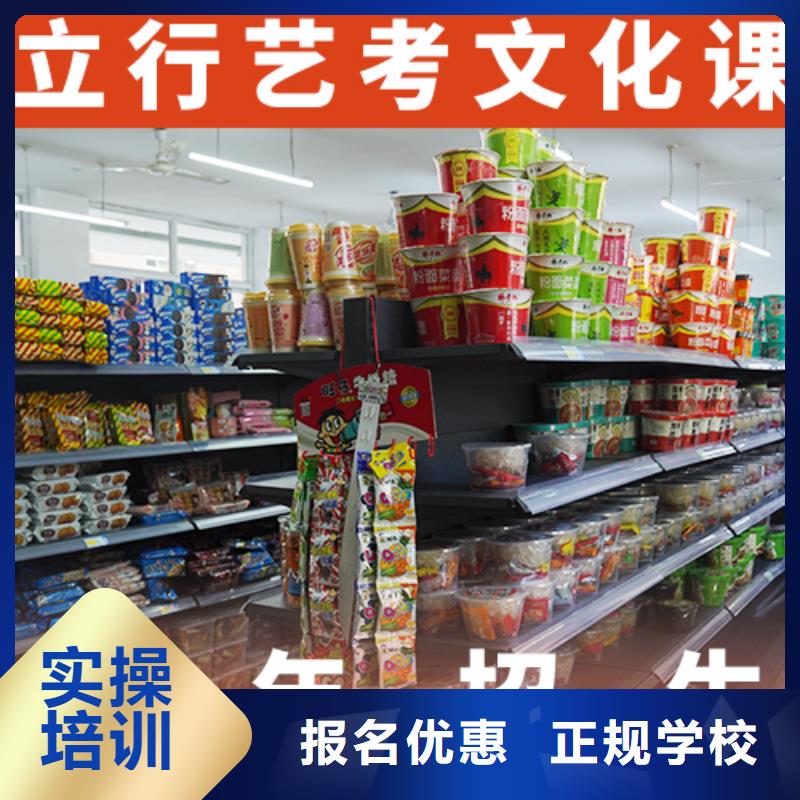 艺考生文化课艺考培训机构理论+实操