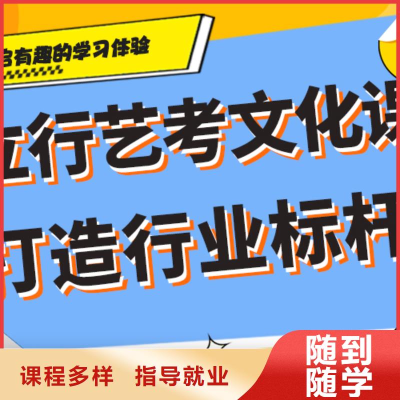 【艺考文化课补习艺考复读清北班手把手教学】