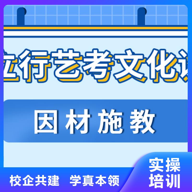【艺考文化课补习艺考复读清北班手把手教学】