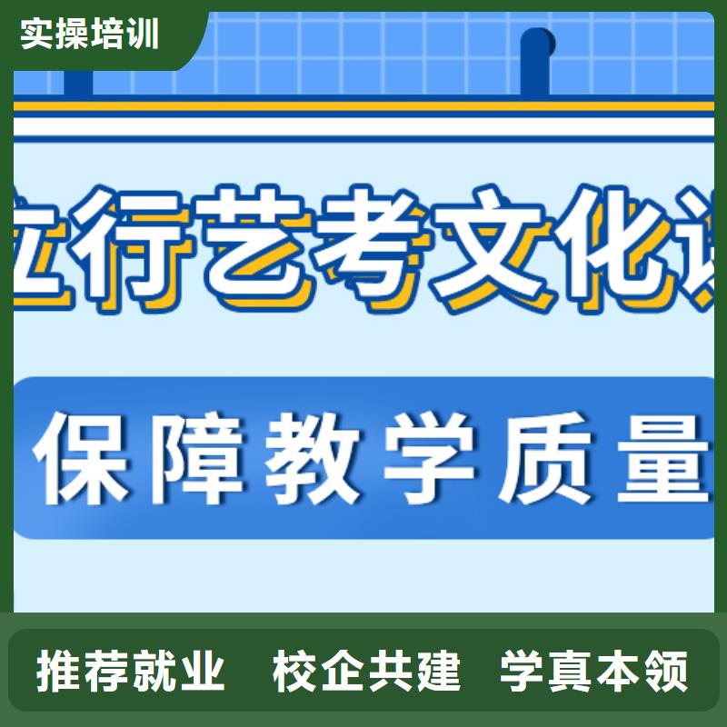 艺考文化课补习艺考培训老师专业