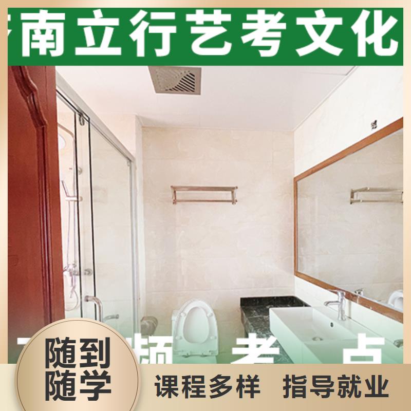 【艺考文化课补习艺考复读清北班手把手教学】