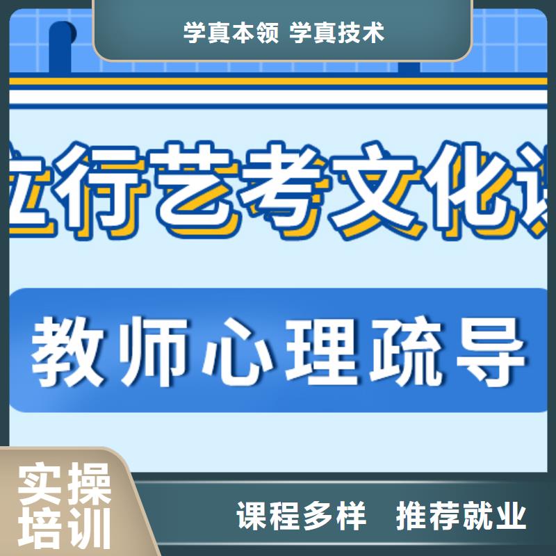 艺术生文化课,高考语文辅导课程多样