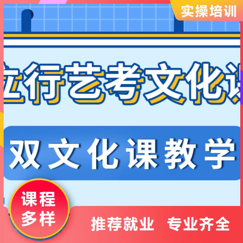 艺术生文化课,高考语文辅导课程多样