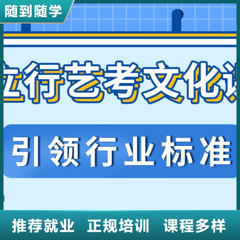艺术生文化课,高考语文辅导课程多样