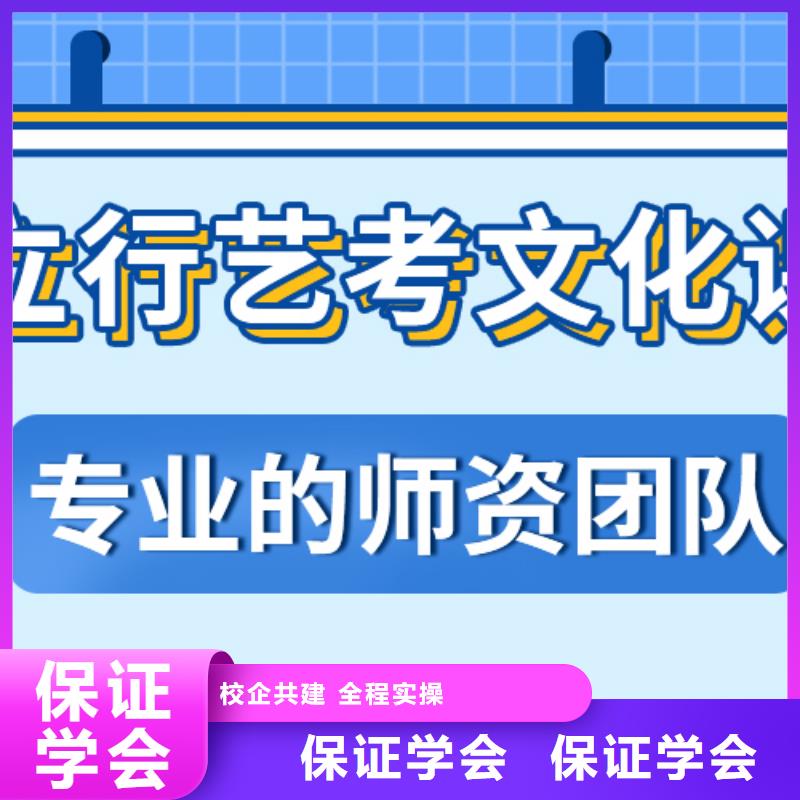 艺术生文化课,高考语文辅导课程多样