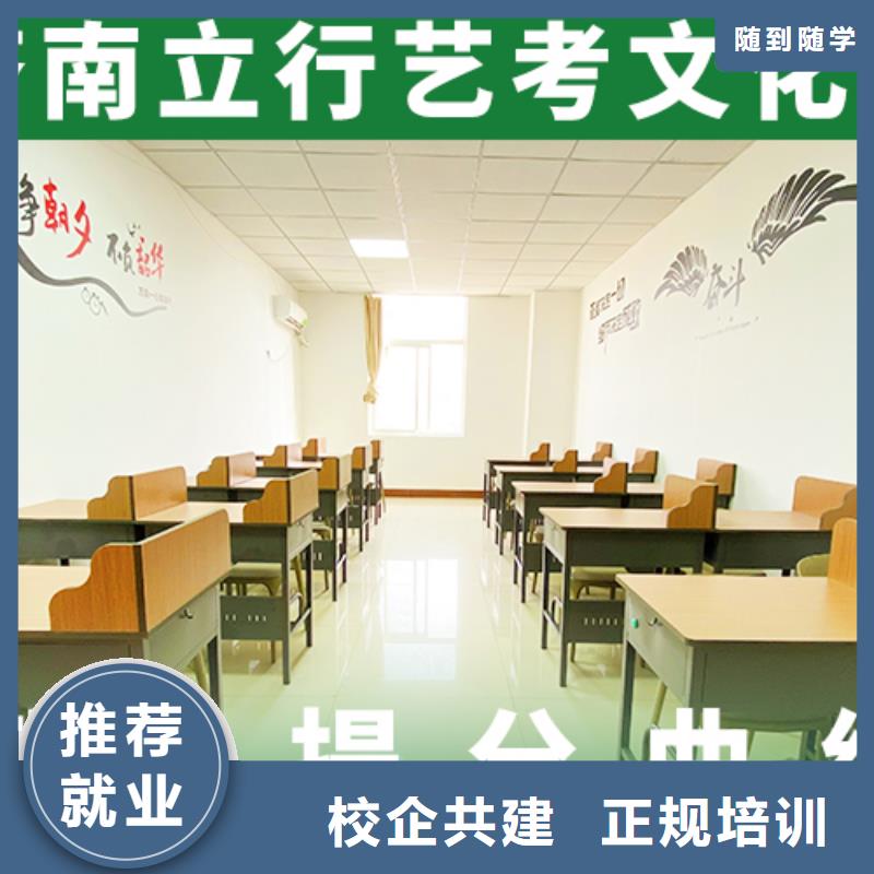 艺考文化课集训,艺考一对一教学校企共建