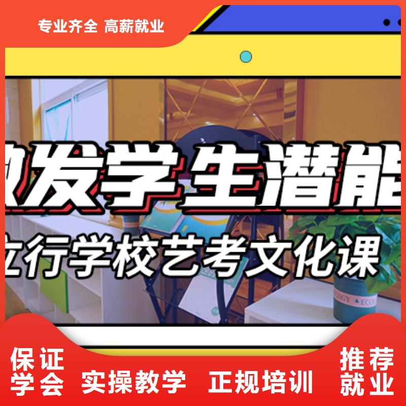 预算不高，
艺考文化课补习
哪个好？
