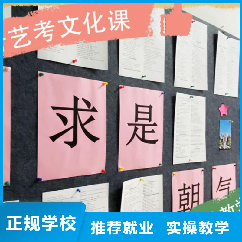 艺考生文化课_高考小班教学正规学校