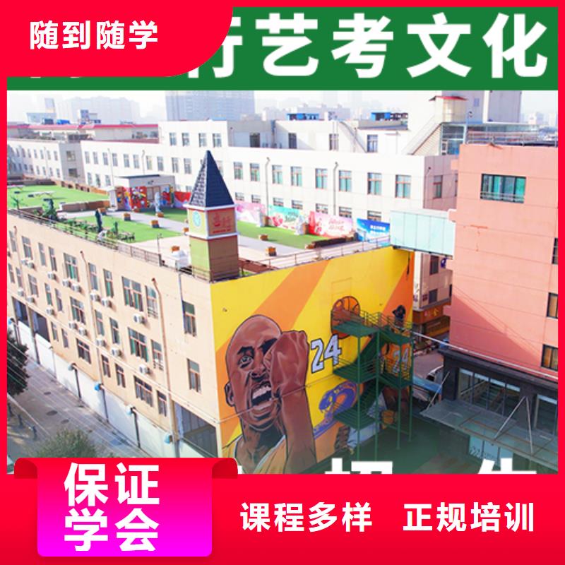 艺考文化课集训高三冲刺班老师专业
