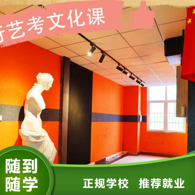 艺考文化课集训高三冲刺班老师专业