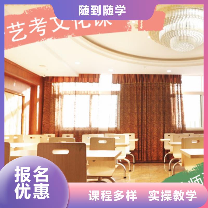 艺考文化课集训艺术生文化补习老师专业