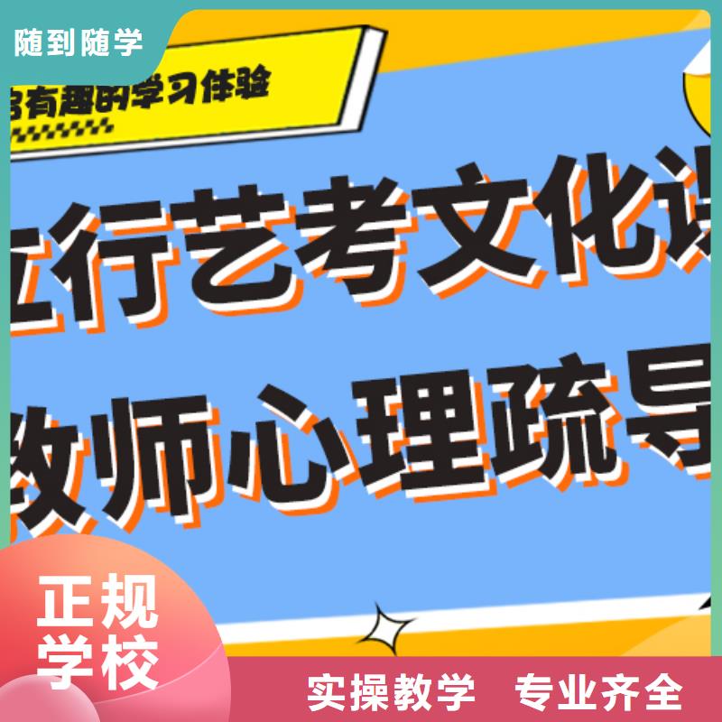 艺考文化课高考老师专业
