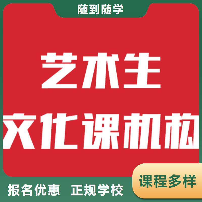 艺考文化课培训艺考正规学校