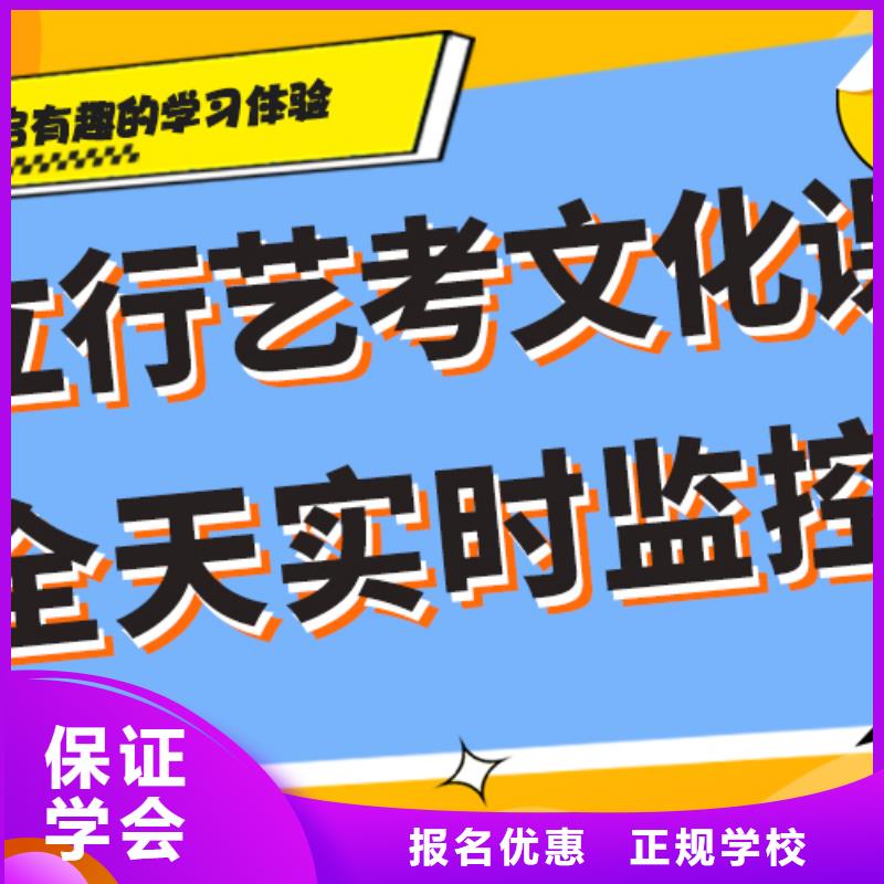 艺考生文化课【艺考培训班】理论+实操