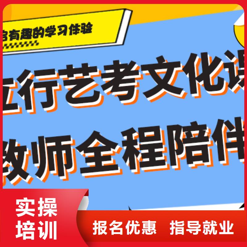 艺考生文化课高考语文辅导理论+实操