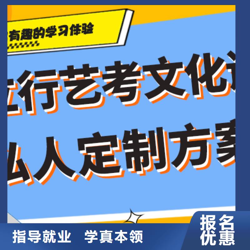 艺考生文化课【艺考培训班】理论+实操