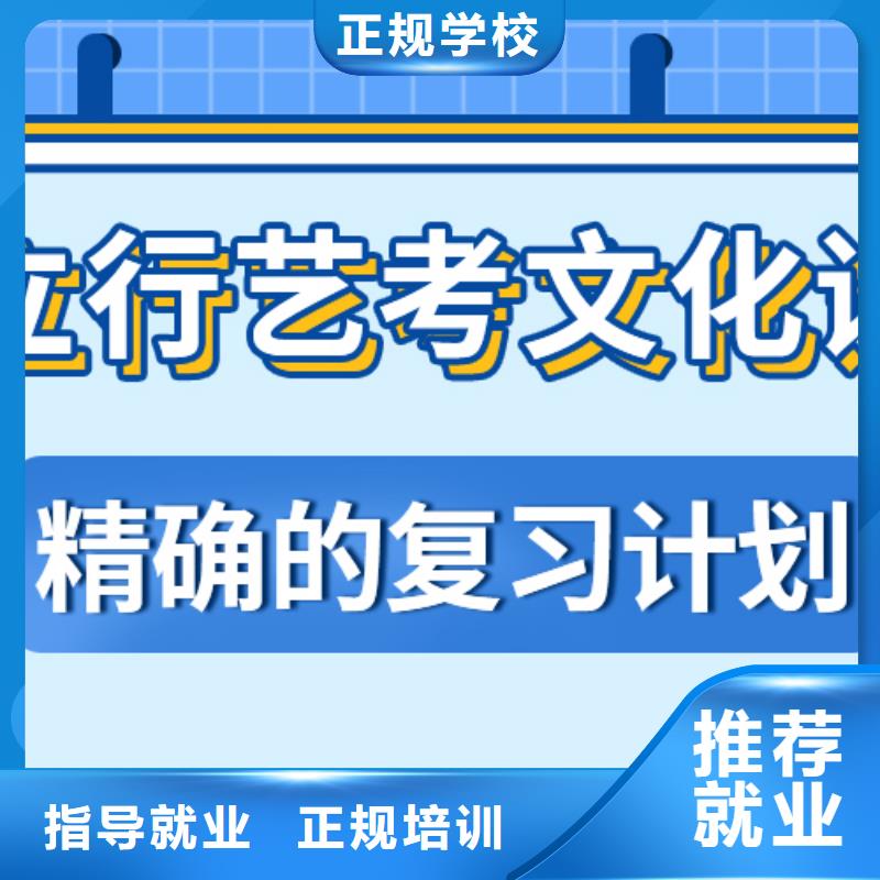 艺考生文化课高考语文辅导理论+实操