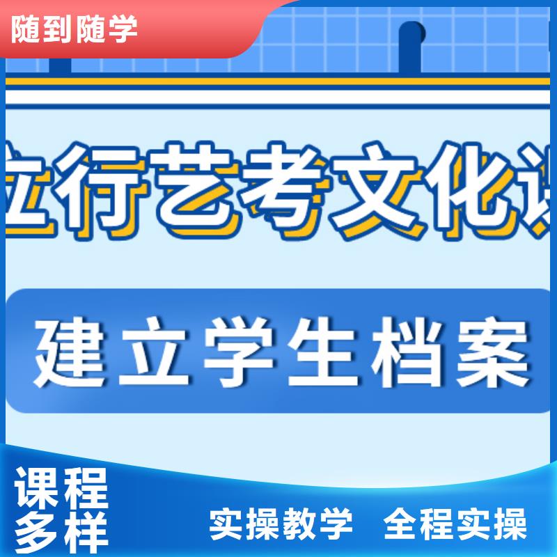 艺考生文化课高考语文辅导理论+实操