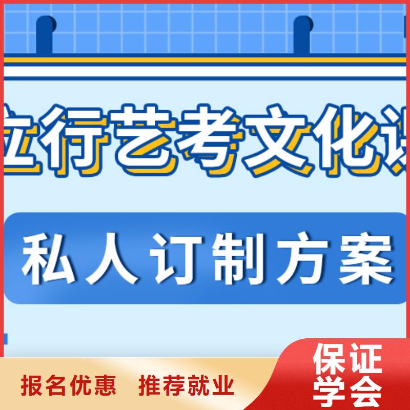 艺考生文化课【艺考培训班】理论+实操