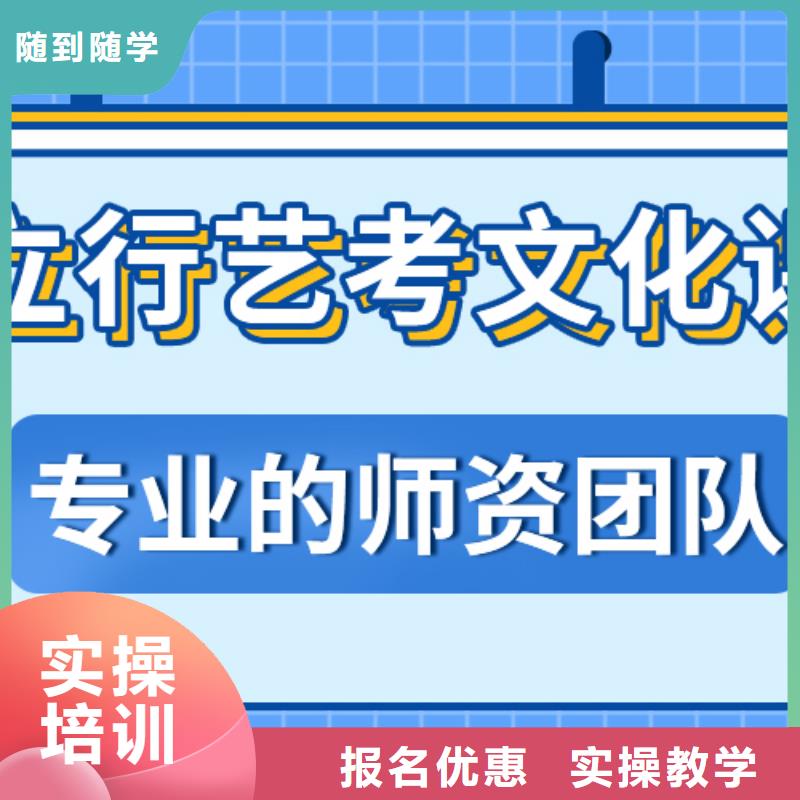 艺考生文化课高考语文辅导理论+实操
