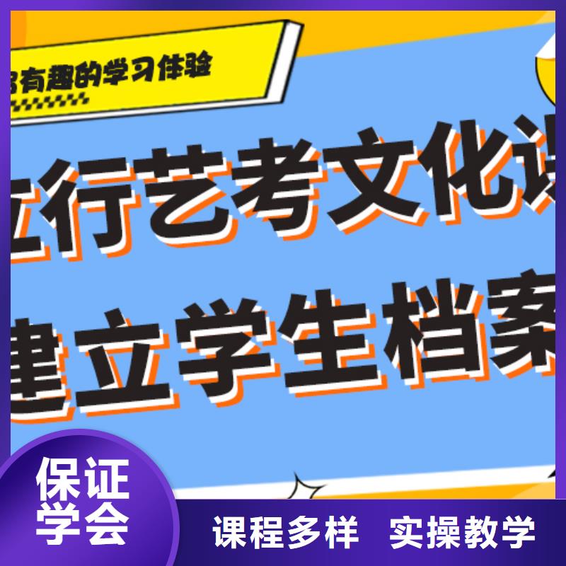 2025级艺考生文化课辅导集训有哪些