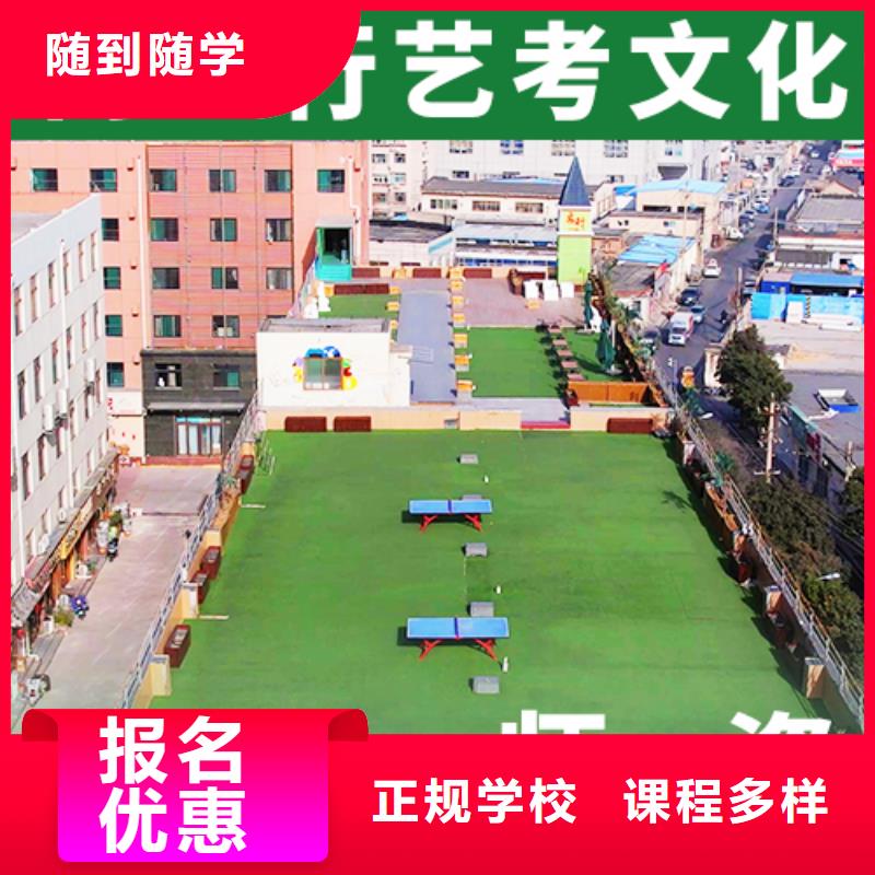 艺考生文化课补习机构有几个多少分