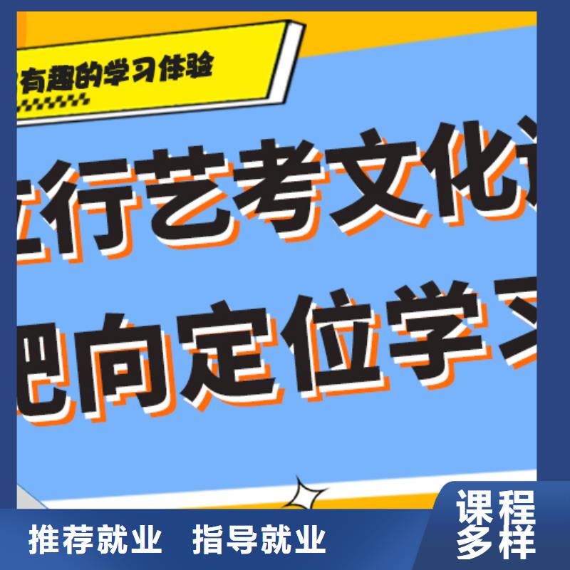 艺考生文化课补习机构哪家好针对性教学