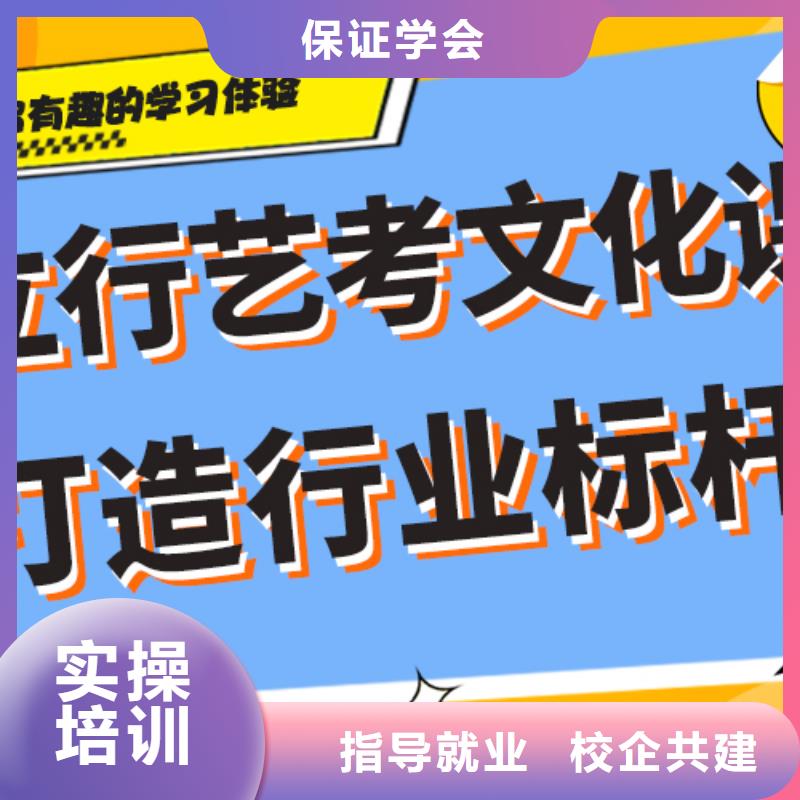 艺考生文化课集训冲刺哪个好艺考生文化课专用教材