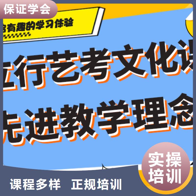 艺考生文化课集训冲刺哪个好艺考生文化课专用教材