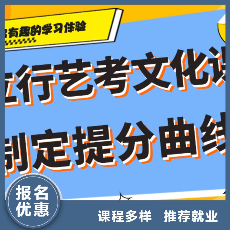 艺术生文化课培训补习有哪些个性化辅导教学
