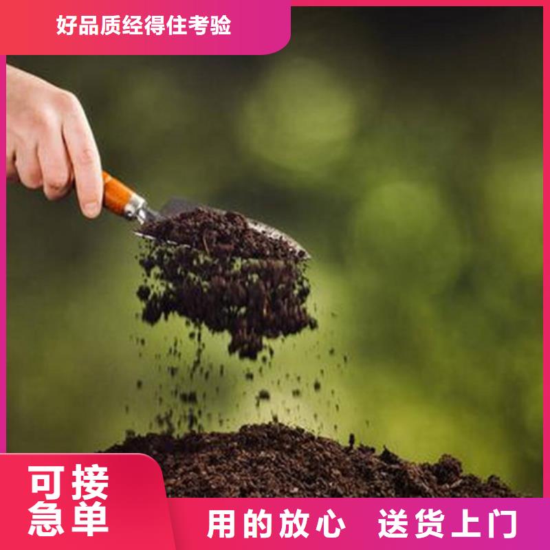 夯土墙加固修复剂批发三沙市源头好货