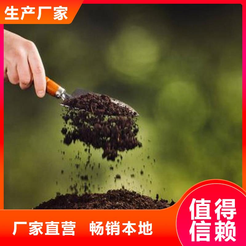 夯土墙专用固化剂批发本地厂家