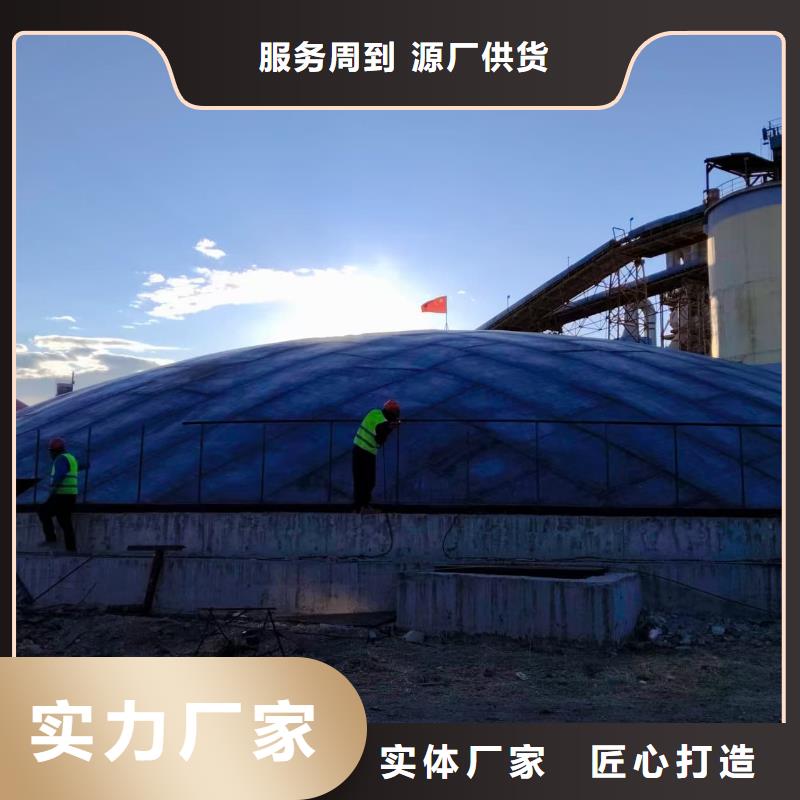 6万吨粉煤灰钢板仓-我们是厂家！