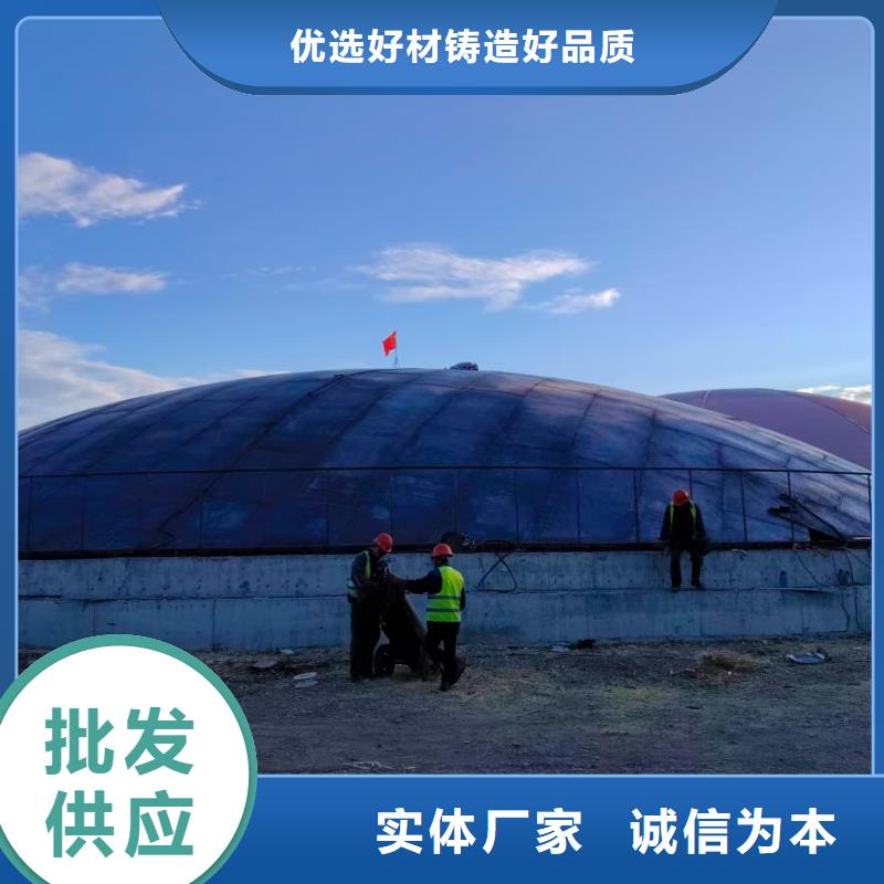 6万吨粉煤灰钢板仓-我们是厂家!