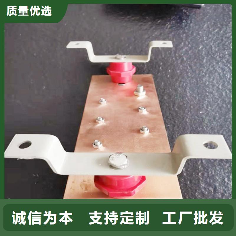 紫铜排一周内发货